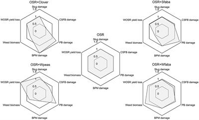 The Potential of Intercropping for Multifunctional Crop Protection in Oilseed Rape (Brassica napus L.)